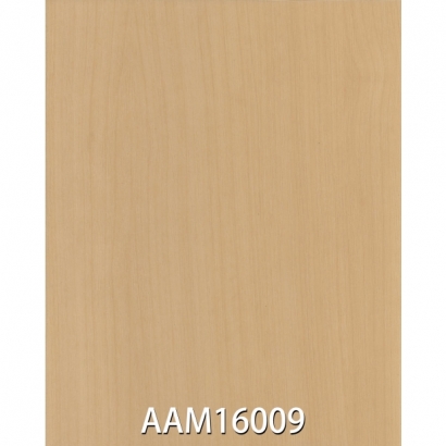 AAM16009.jpg